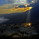 Rice Terraces